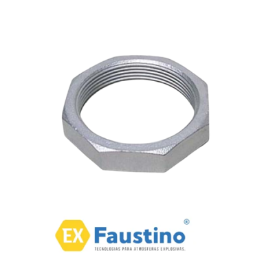 ARRUELA SEXTAVADA TGVP FAUSTINO EX1