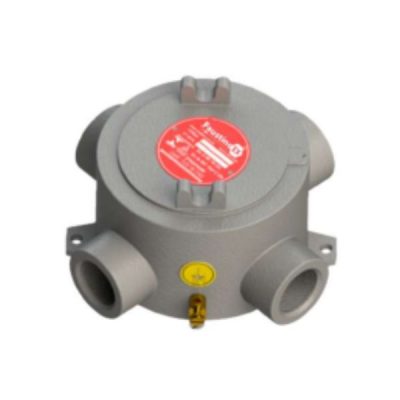 Produto Faustino EX (5)